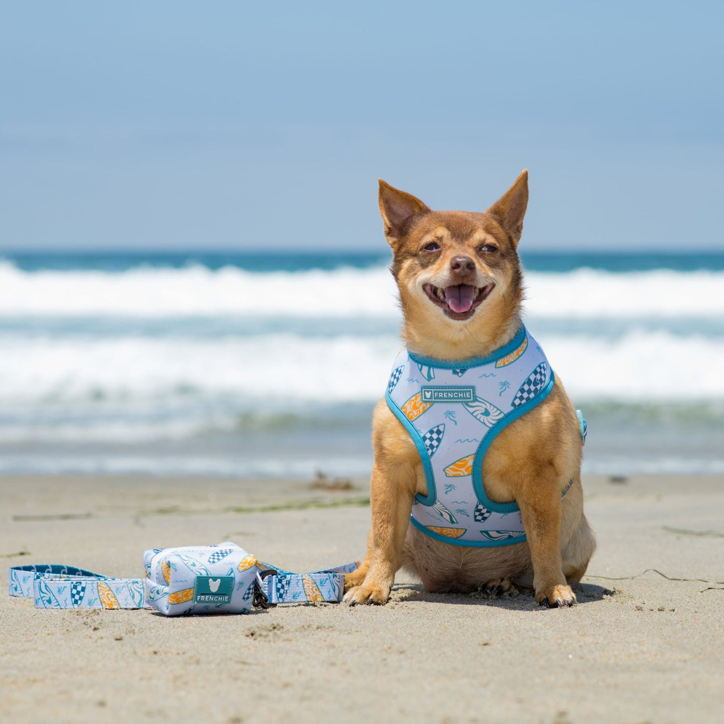 Frenchie Duo Reversible Harness - Surfboard