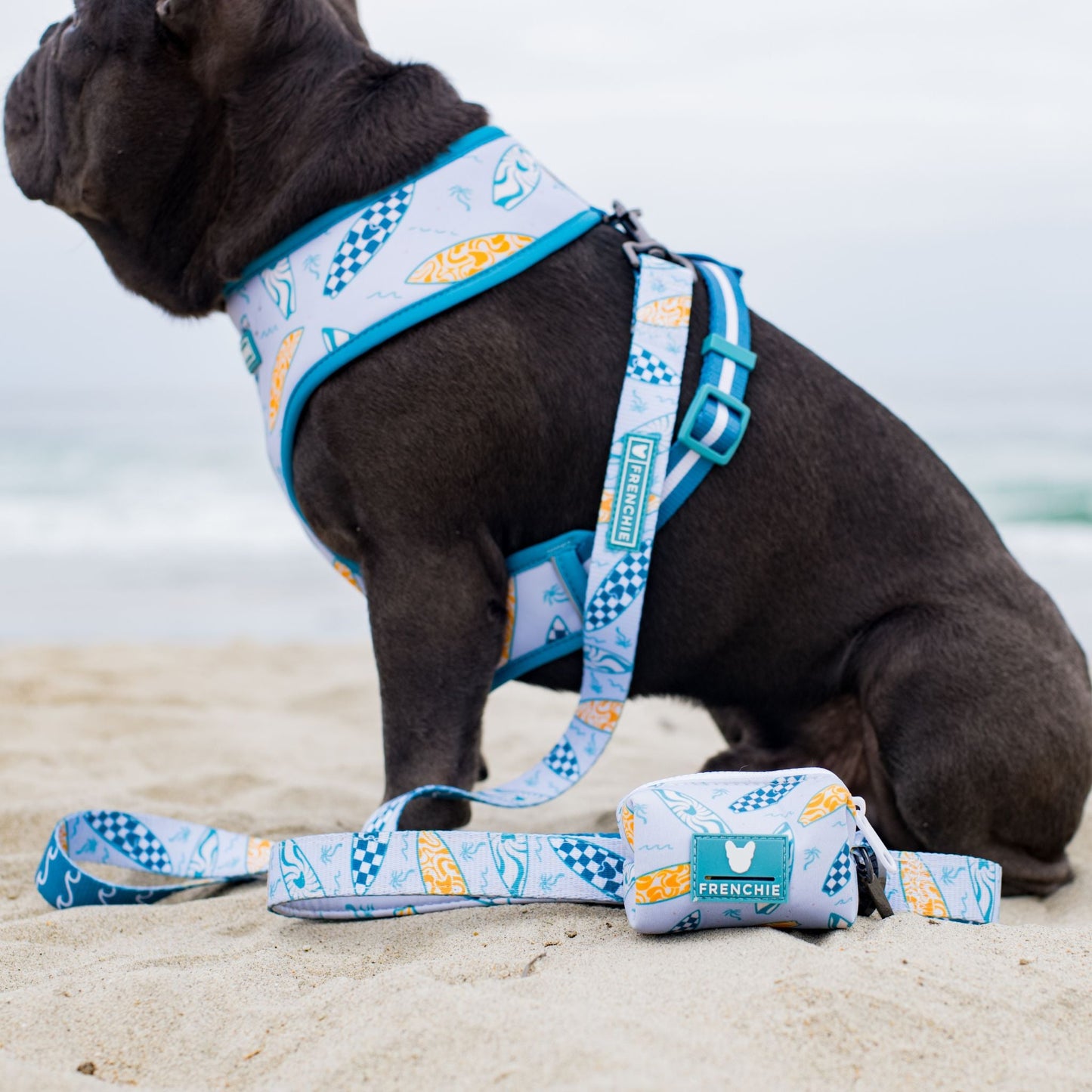 Frenchie Duo Reversible Harness - Surfboard