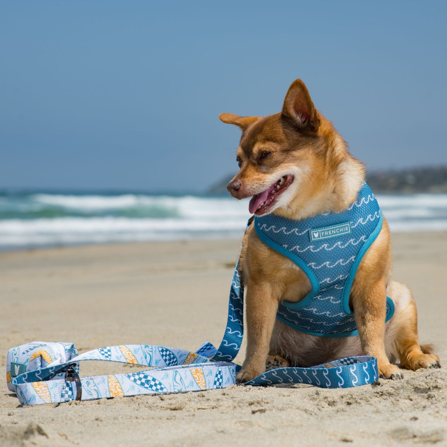 Frenchie Duo Reversible Harness - Surfboard