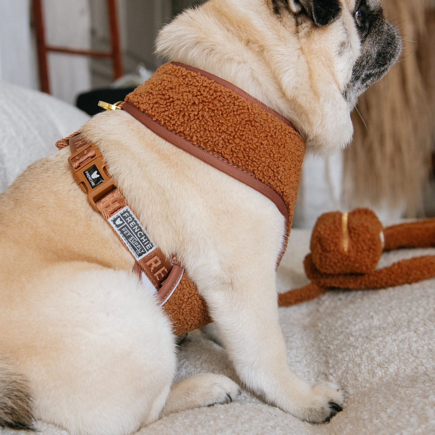 Frenchie Duo Reversible Harness - Teddy Brown