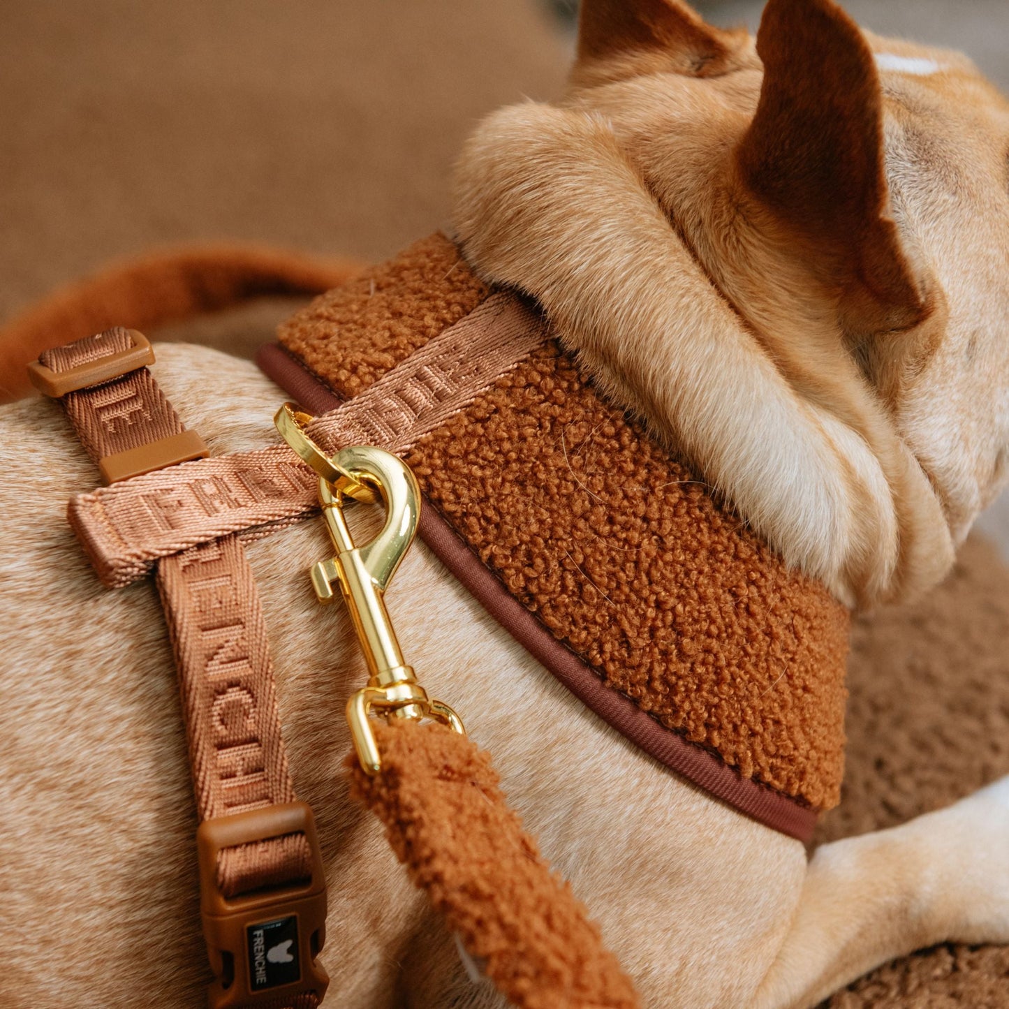 Frenchie Duo Reversible Harness - Teddy Brown