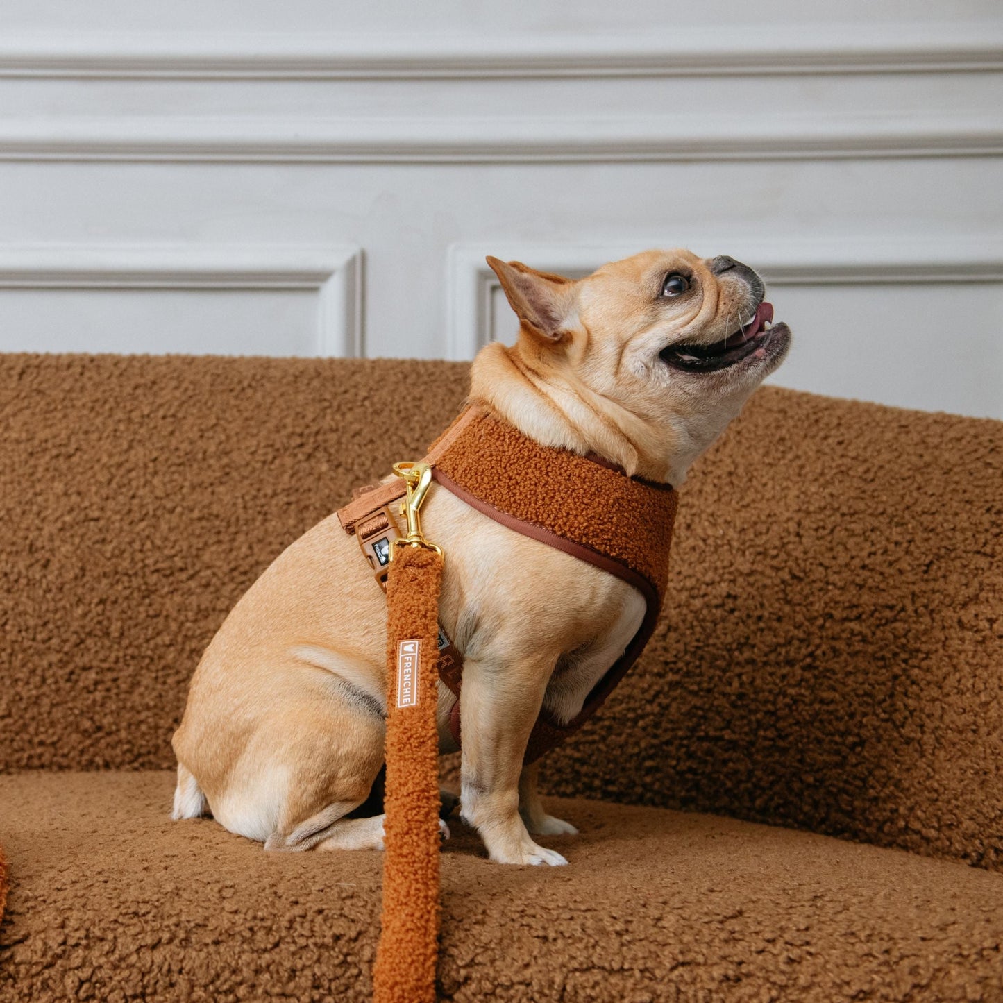 Frenchie Duo Reversible Harness - Teddy Brown