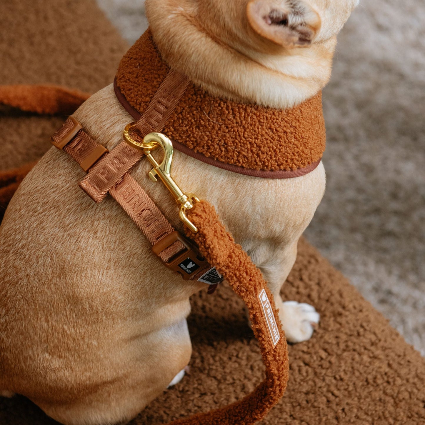 Frenchie Duo Reversible Harness - Teddy Brown