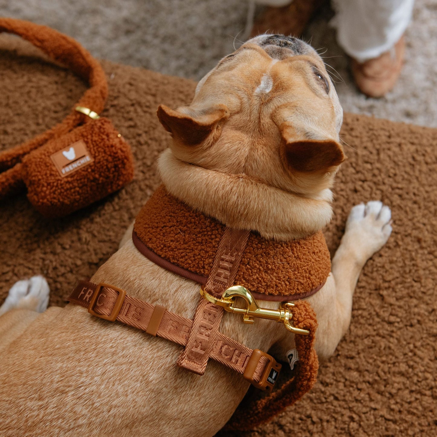 Frenchie Duo Reversible Harness - Teddy Brown