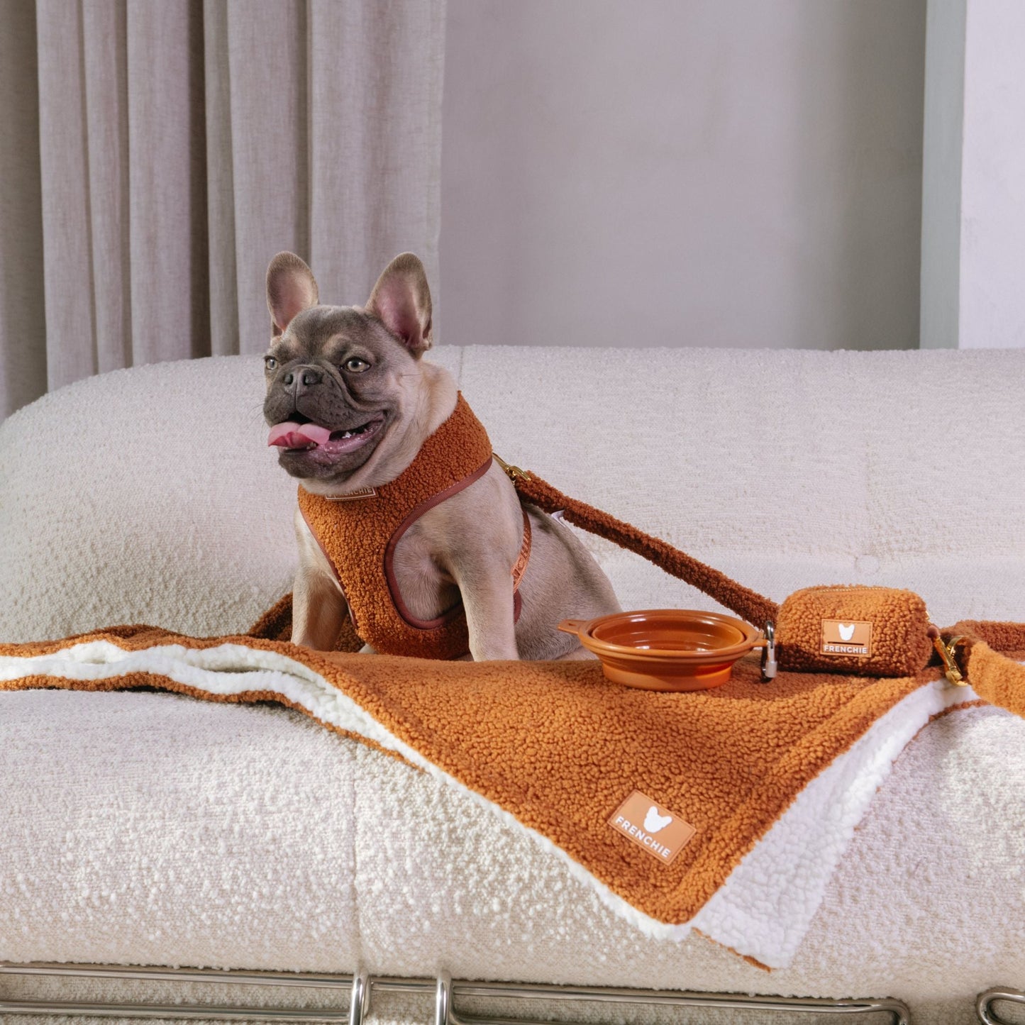 Frenchie Duo Reversible Harness - Teddy Brown