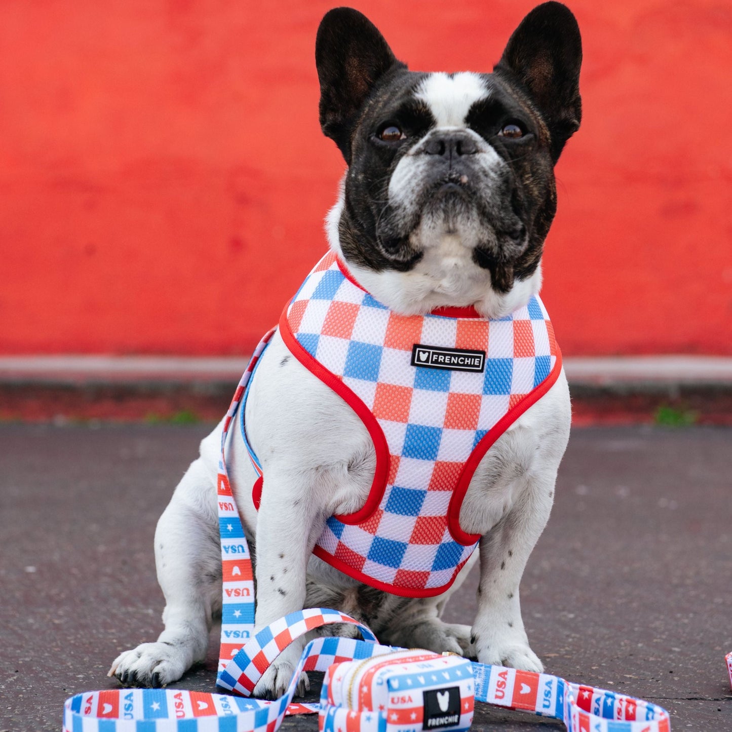 Frenchie Duo Reversible Harness - USA