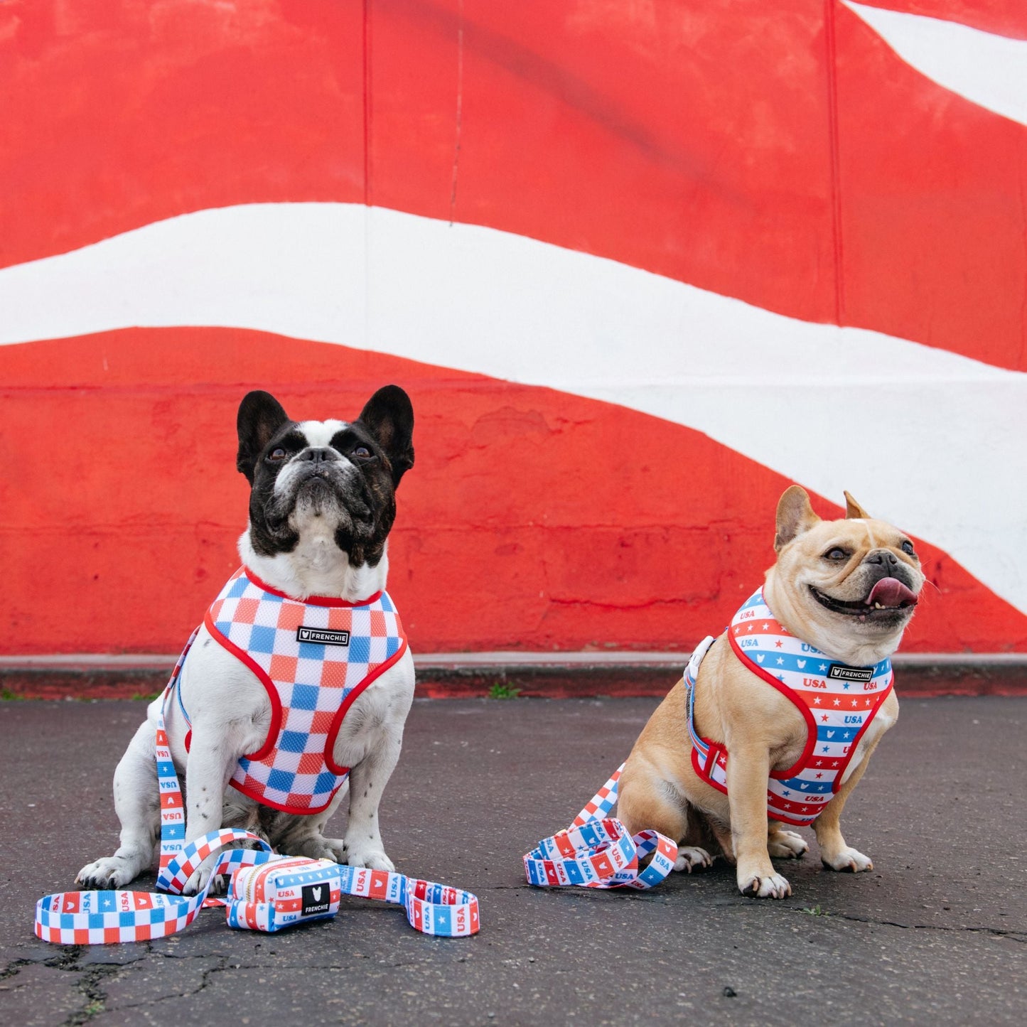 Frenchie Duo Reversible Harness - USA