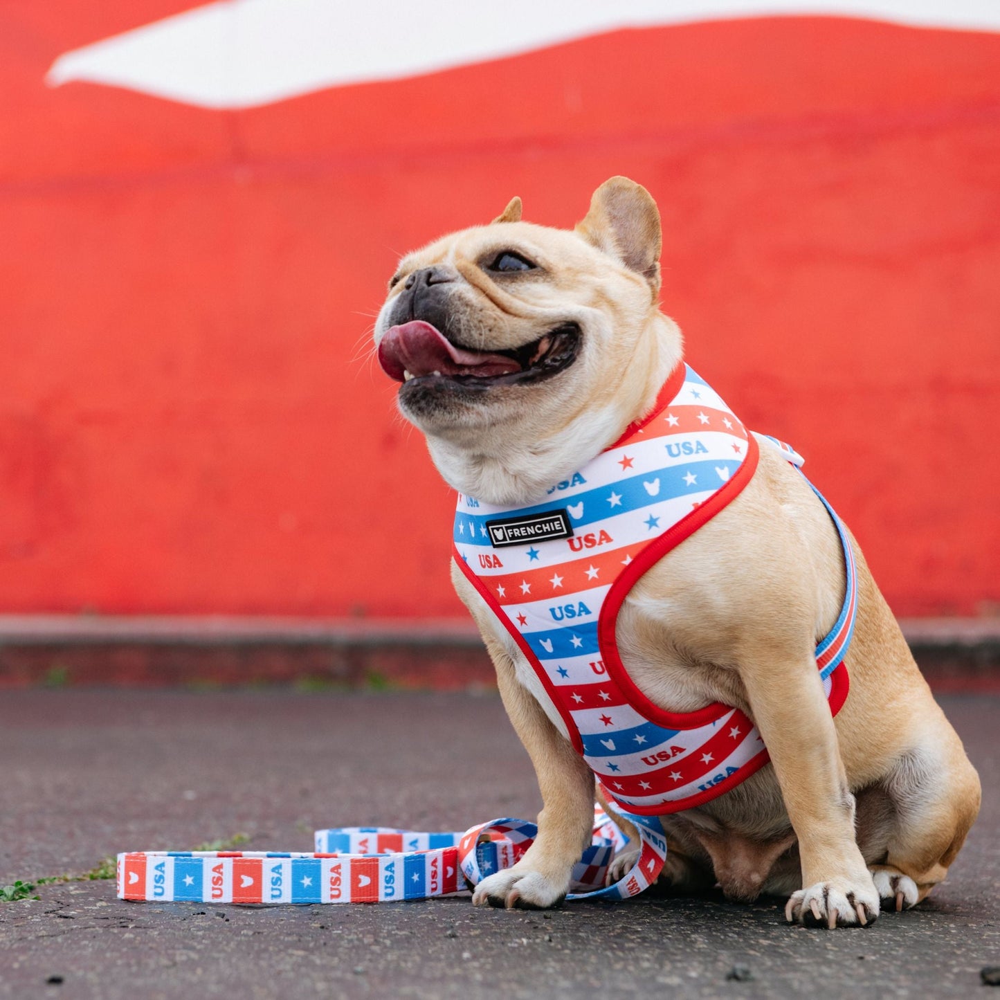 Frenchie Duo Reversible Harness - USA