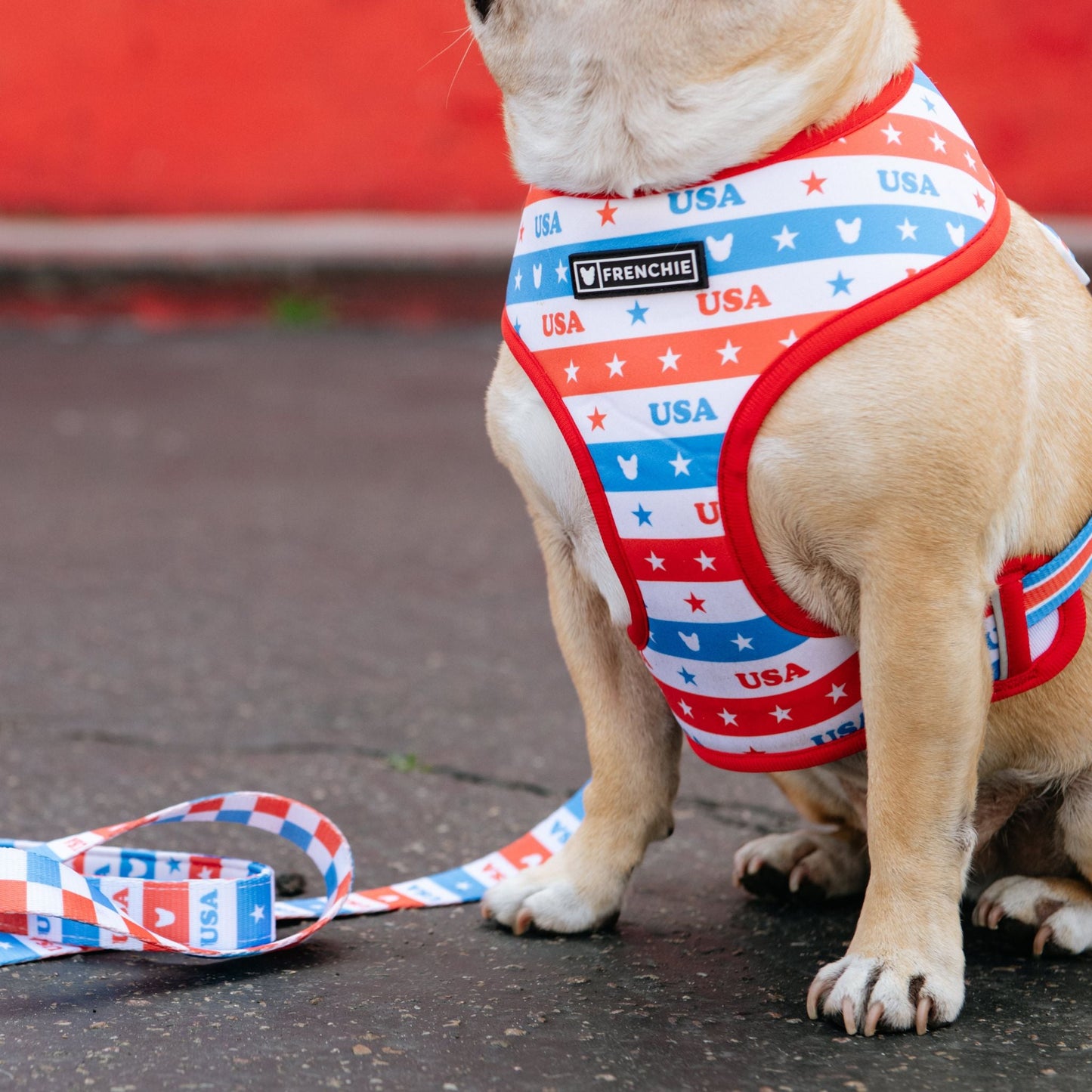 Frenchie Duo Reversible Harness - USA