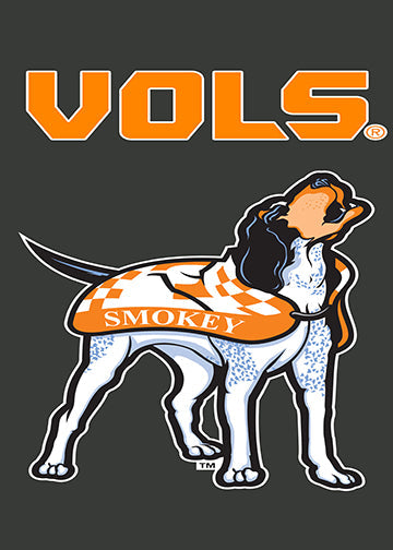 Vols Mascot