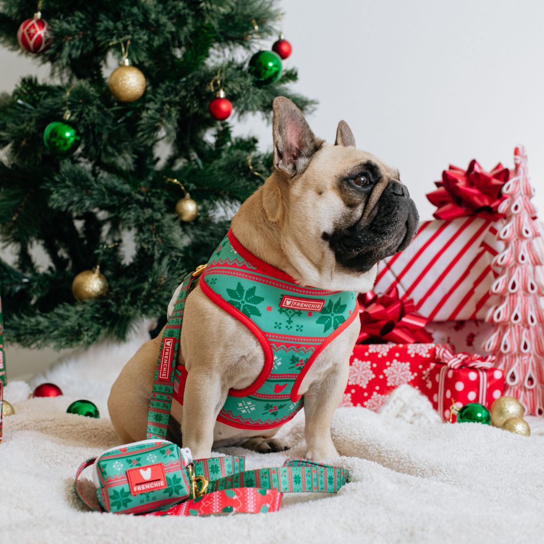 Frenchie Duo Reversible Harness - Ugly Sweater