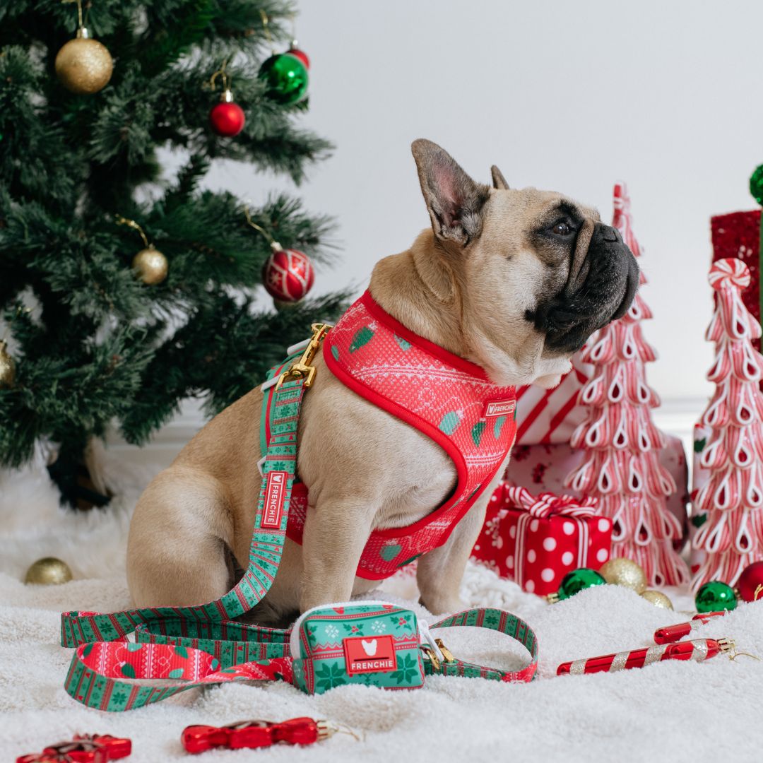 Frenchie Duo Reversible Harness - Ugly Sweater