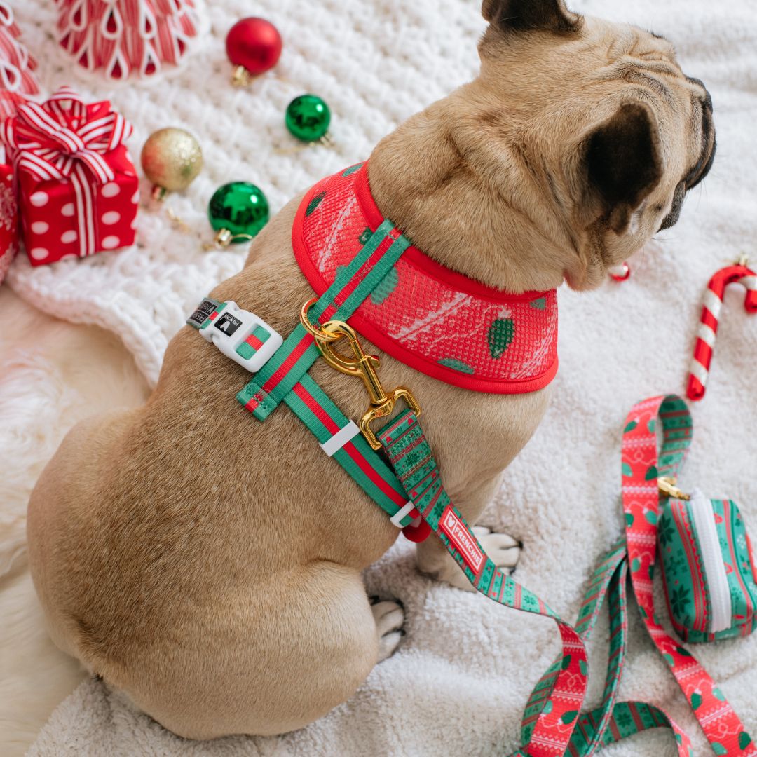 Frenchie Duo Reversible Harness - Ugly Sweater