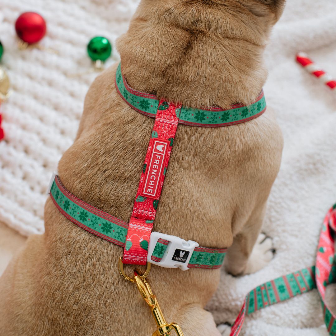 Frenchie Strap Harness - Ugly Sweater