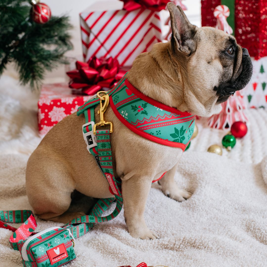 Frenchie Duo Reversible Harness - Ugly Sweater