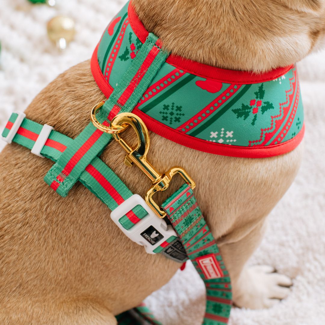 Frenchie Duo Reversible Harness - Ugly Sweater