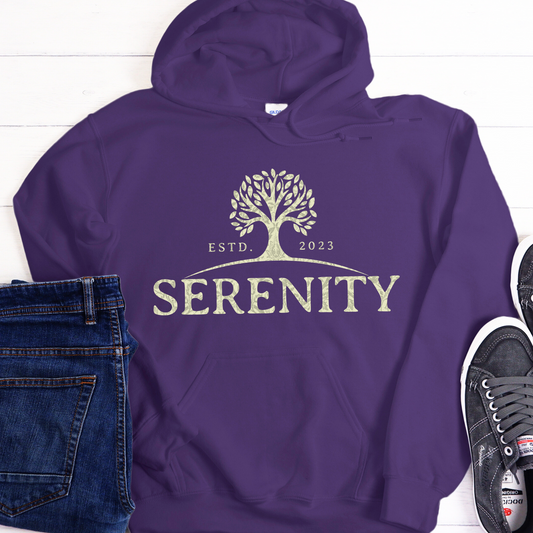 Custom Recovery Hoodie | Inspiring Sobriety |  Serenity Established