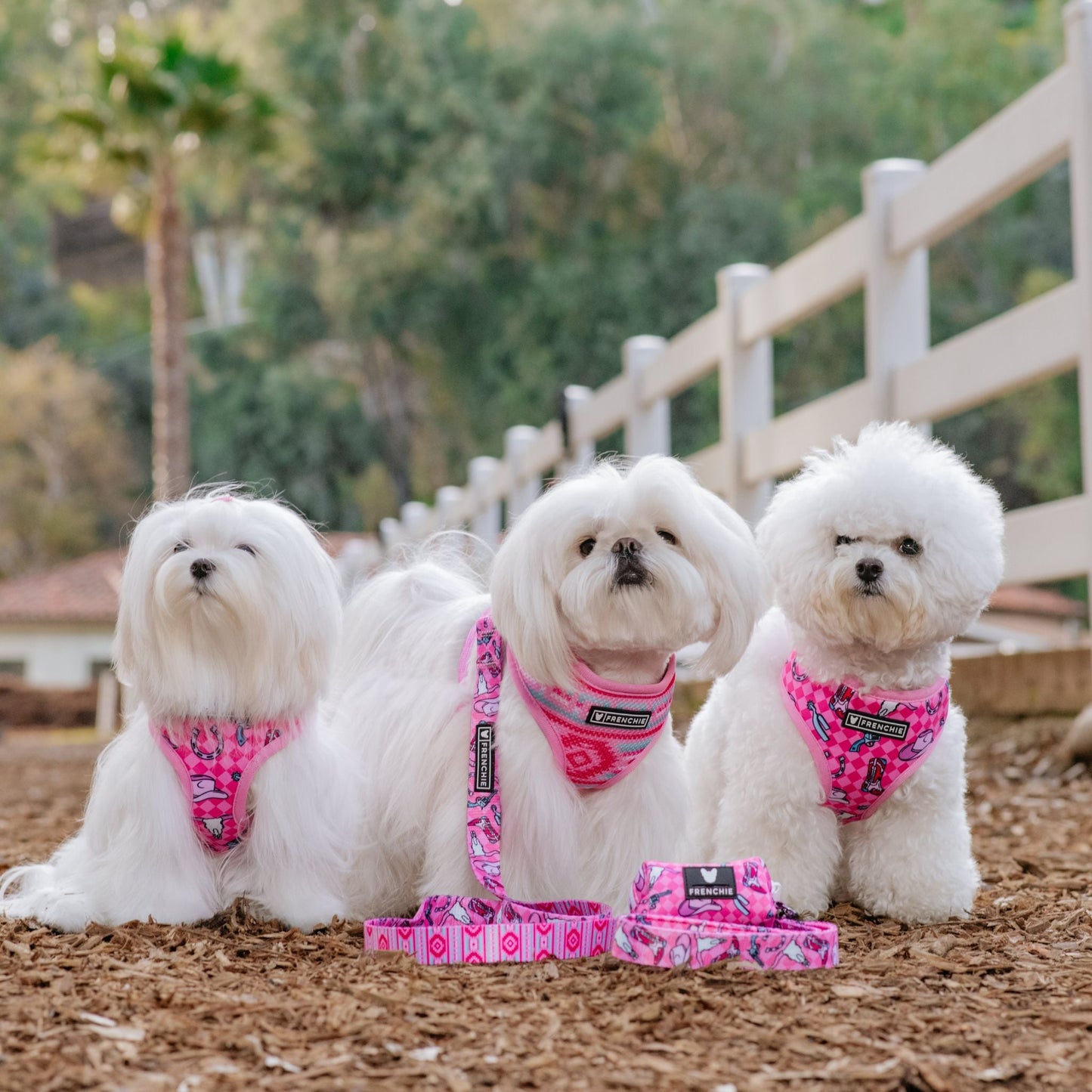 Frenchie Duo Reversible Harness - Wild West- Pink