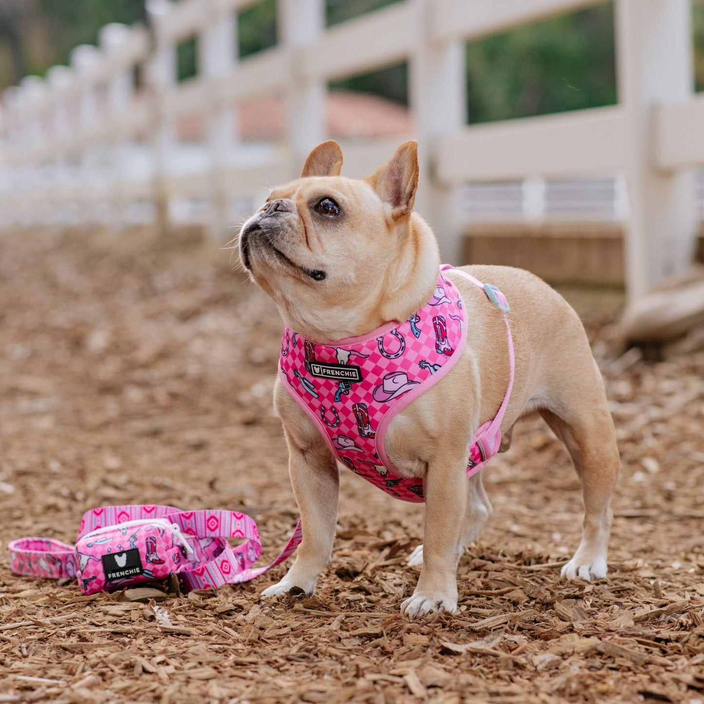 Frenchie Duo Reversible Harness - Wild West- Pink