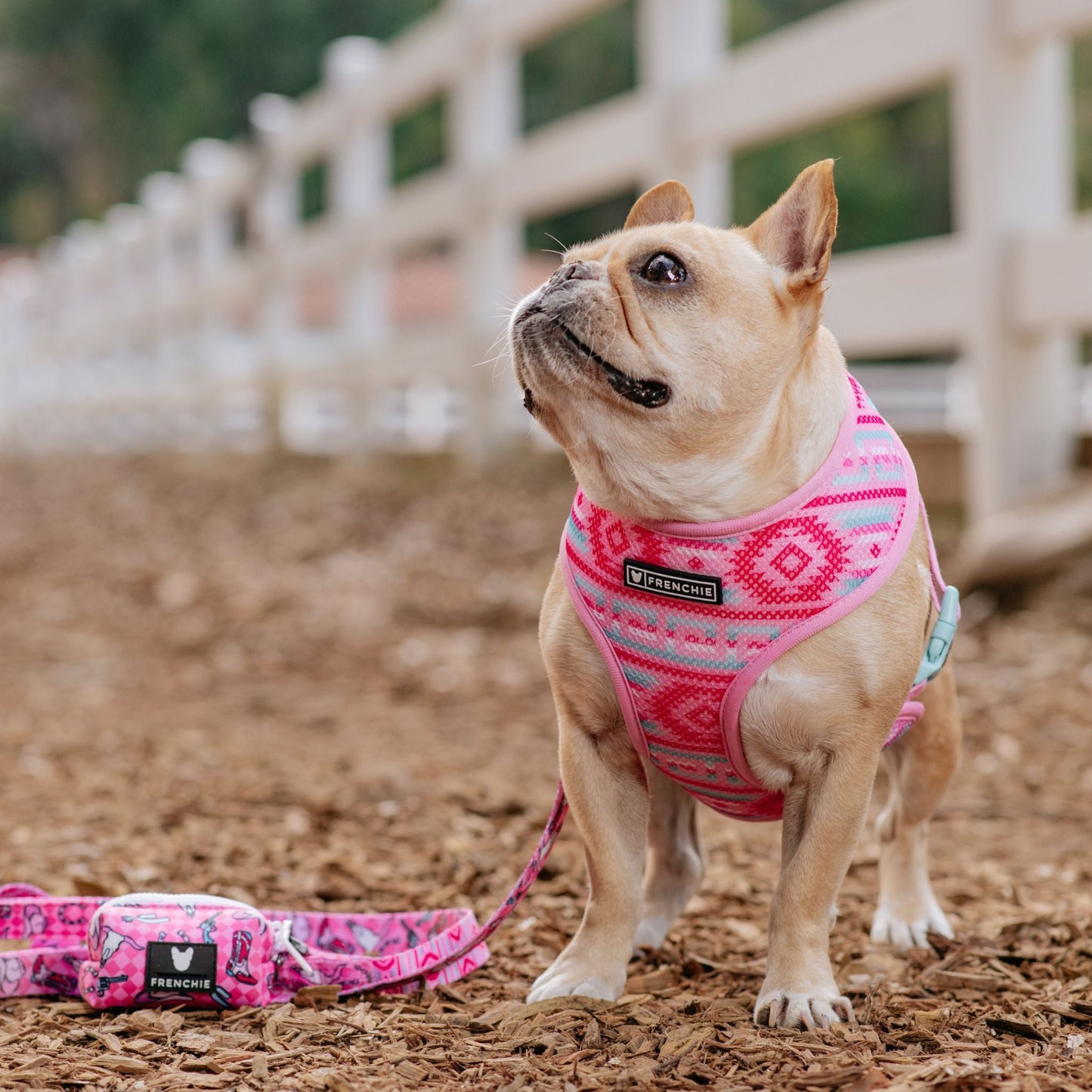 Frenchie Duo Reversible Harness - Wild West- Pink