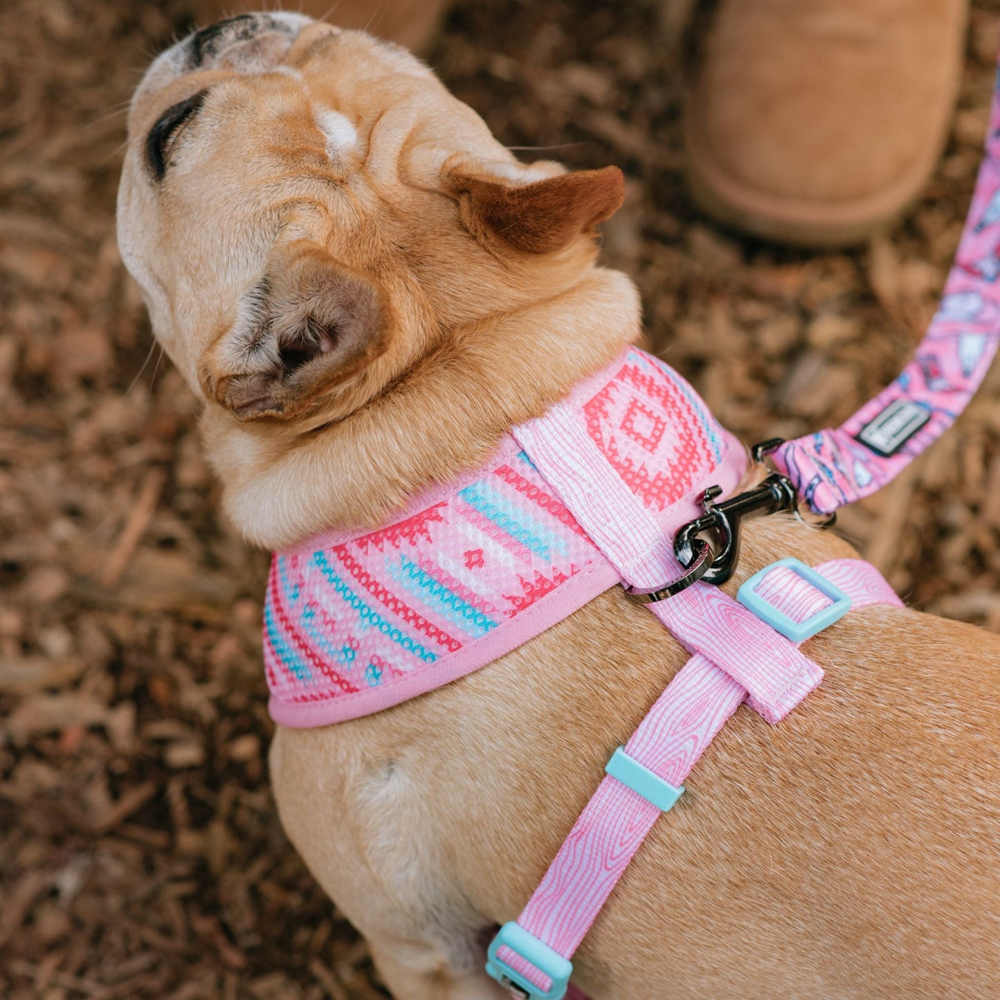 Frenchie Duo Reversible Harness - Wild West- Pink