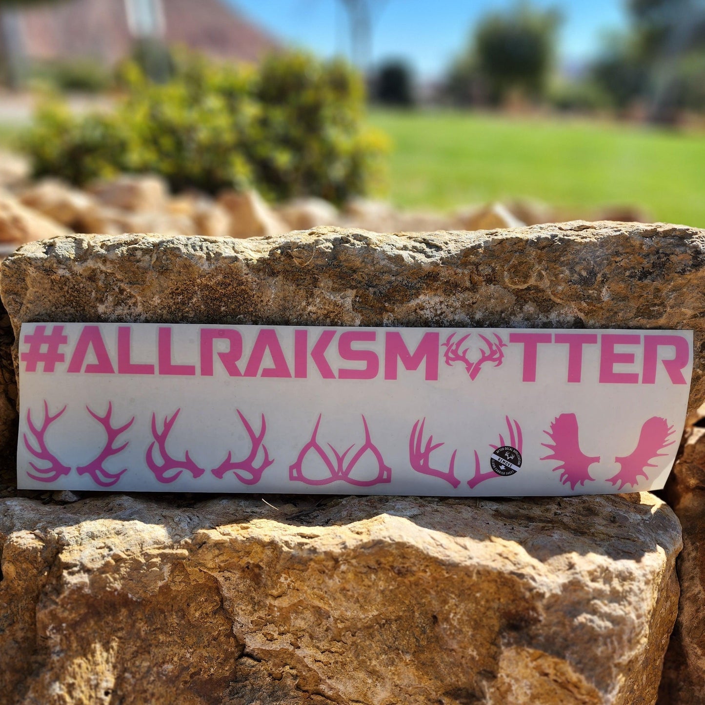 All Raks Matter ™  Boobies Decal