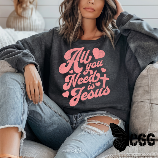 ALL YOU NEED IS JESUS Sweatshirt