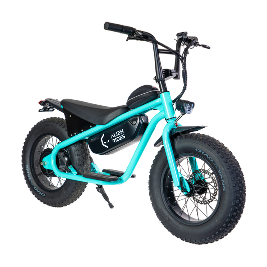 AR Atom 1000 Watt Mini Electric Bicycle