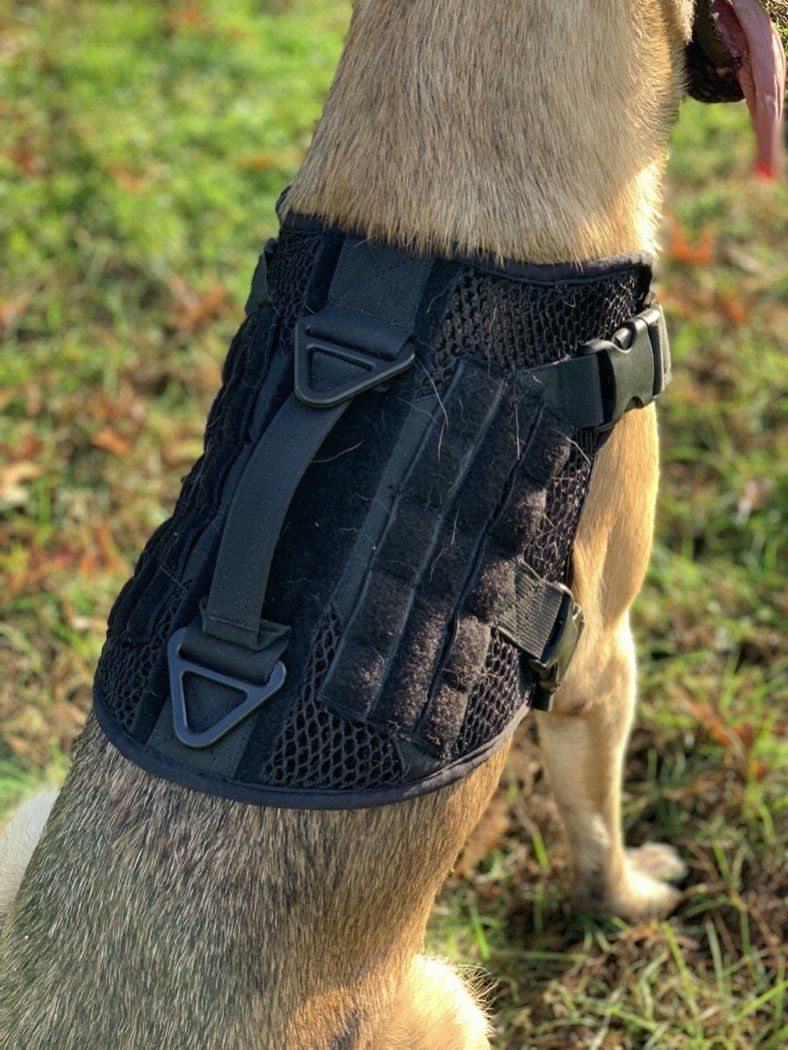 Artemis Dog Harness