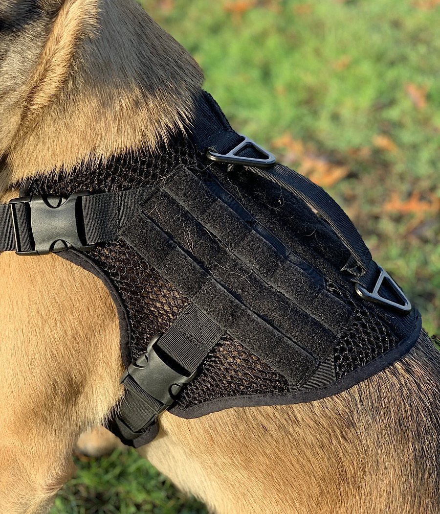 Artemis Dog Harness