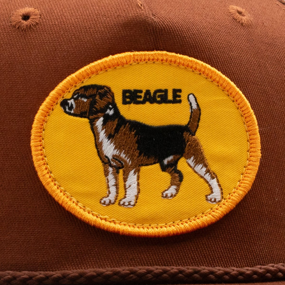 Beagle