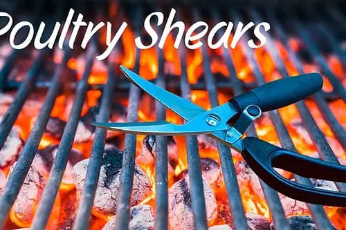 Kitchen and Poultry Shears