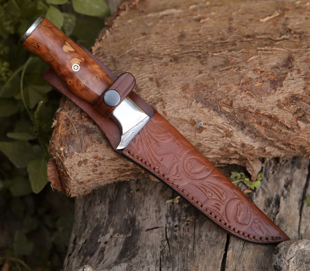 Concord Damascus Fillet Knife with Exotic Olive wood Handle