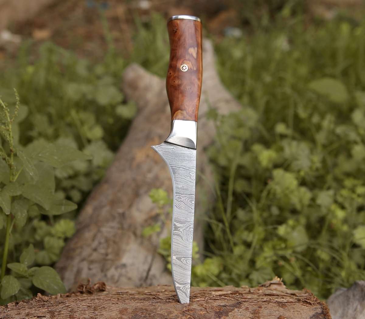 Concord Damascus Fillet Knife with Exotic Olive wood Handle