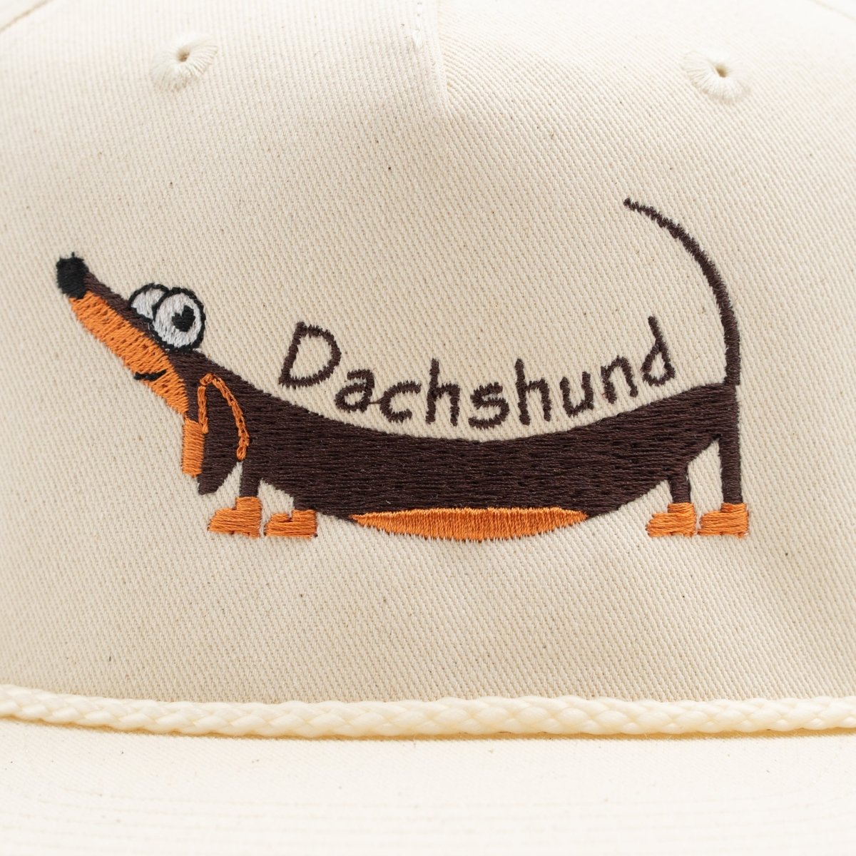 Dachshund