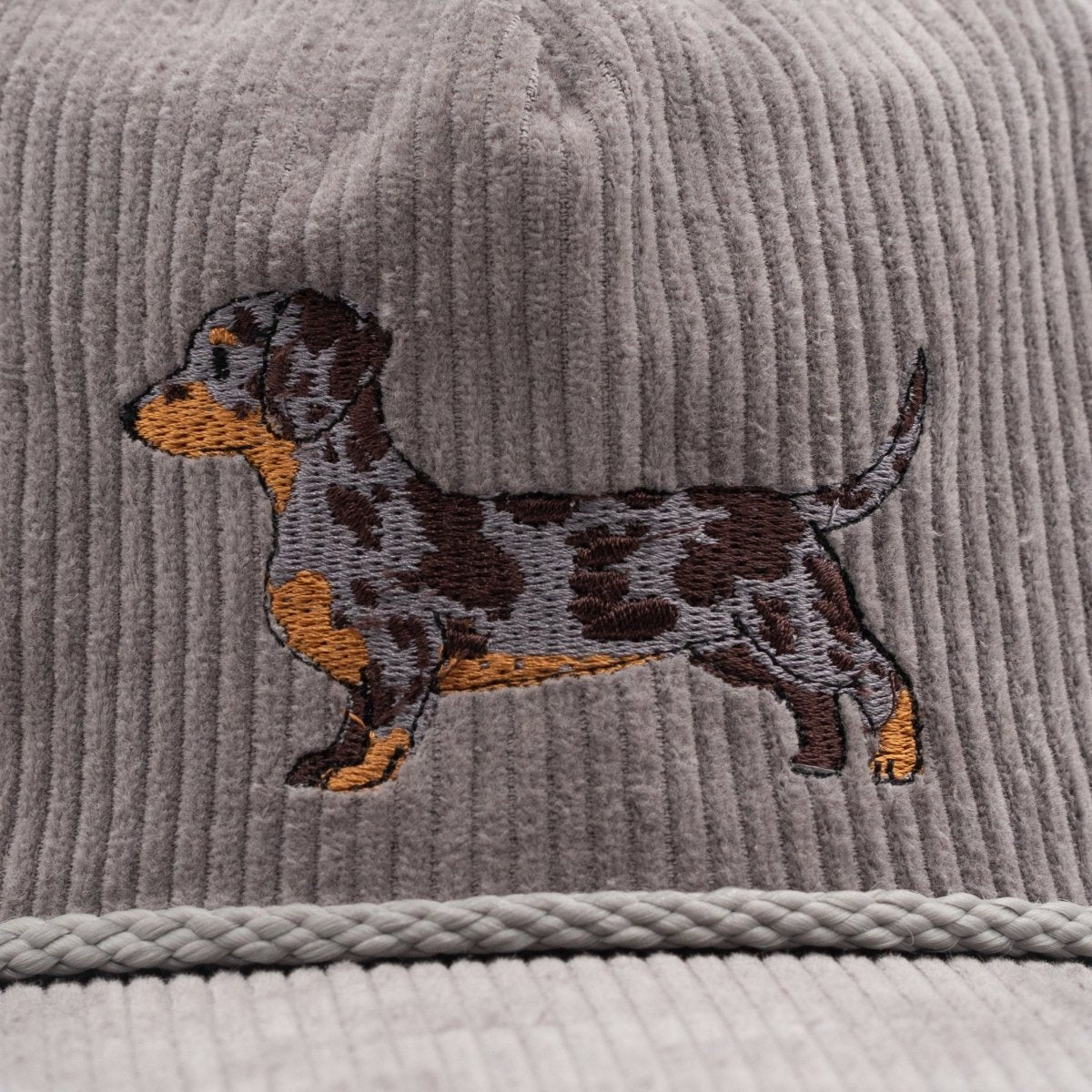 Dachshund