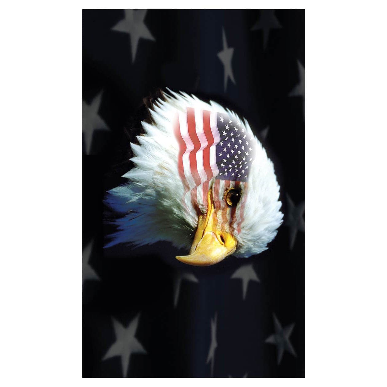 Patriotic Eagle Flag