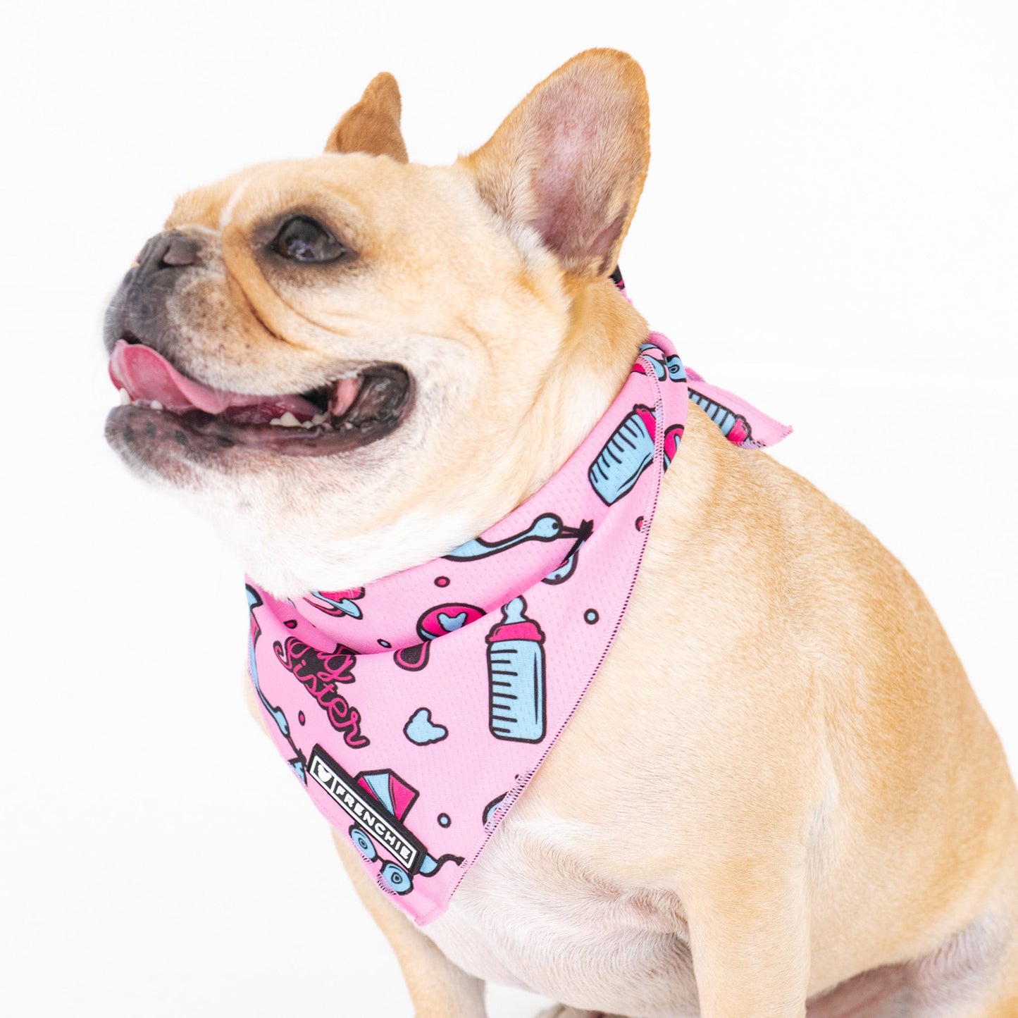 Frenchie Cooling Bandana - Big Sister