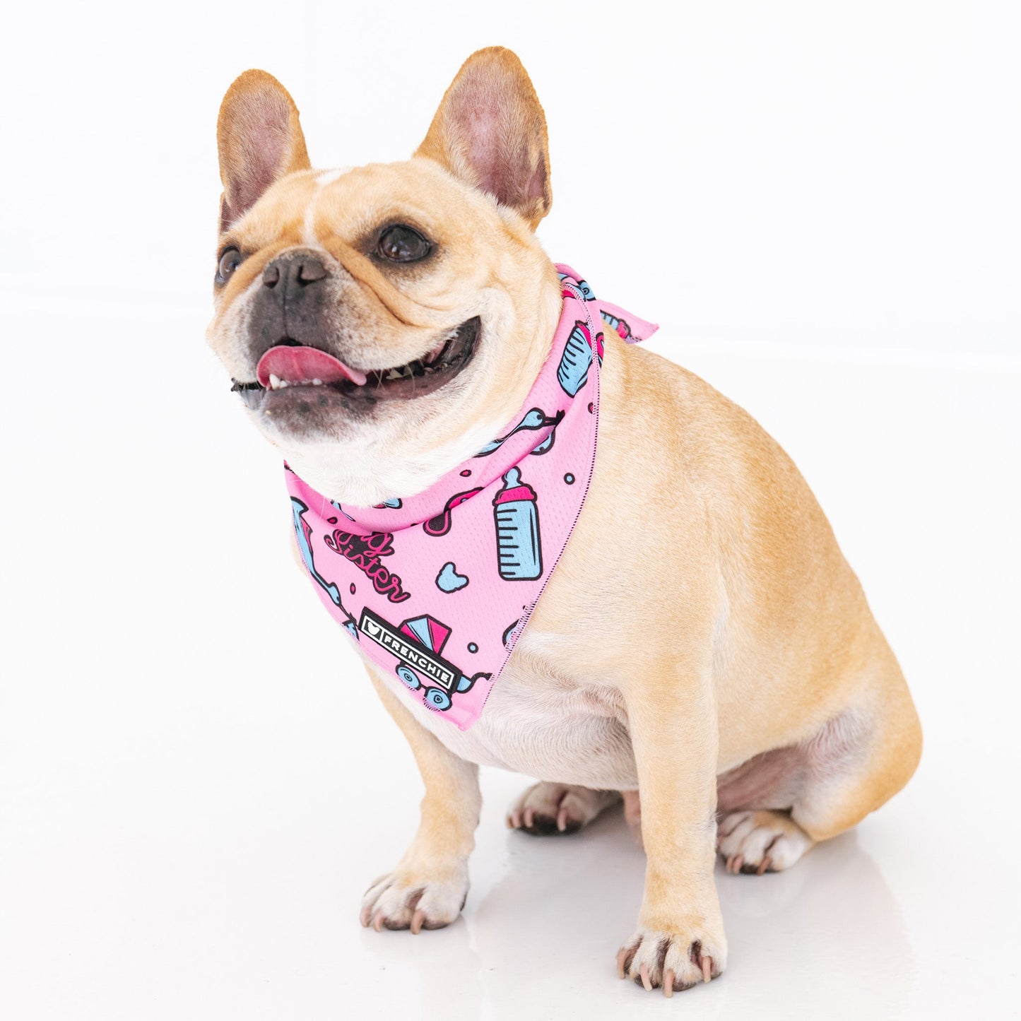 Frenchie Cooling Bandana - Big Sister