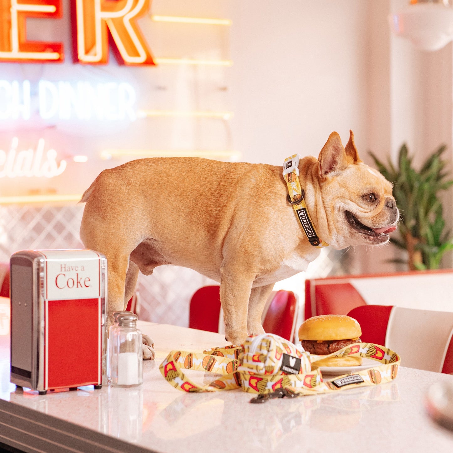 Frenchie Comfort Collar - Burger N Fries