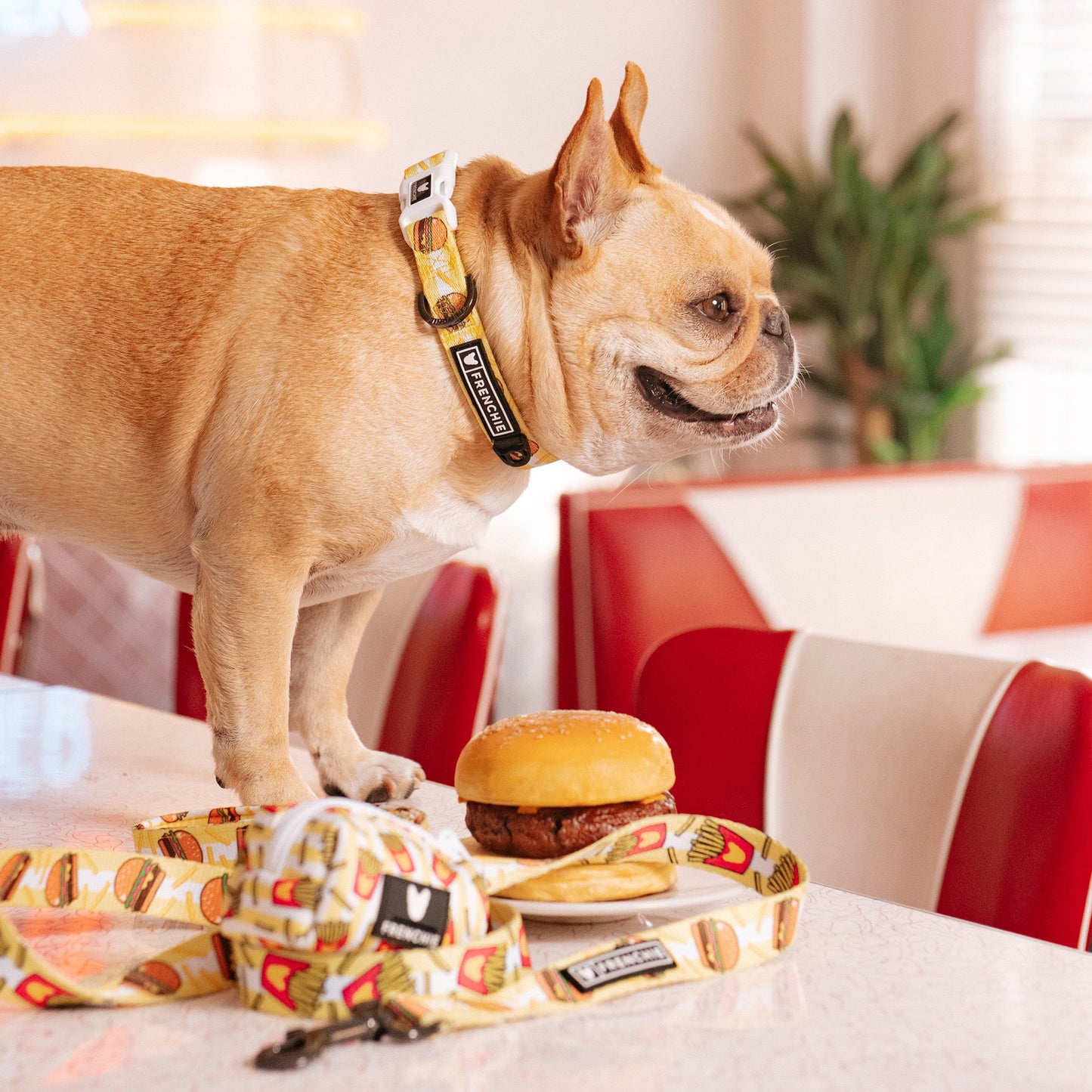 Frenchie Comfort Collar - Burger N Fries