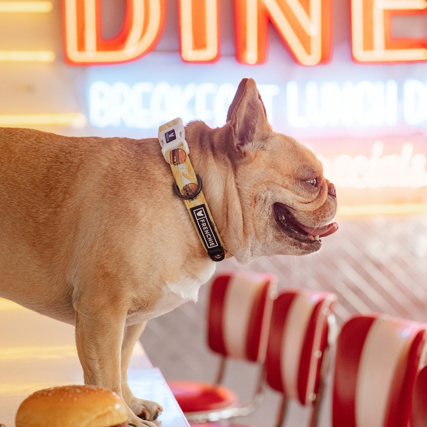 Frenchie Comfort Collar - Burger N Fries