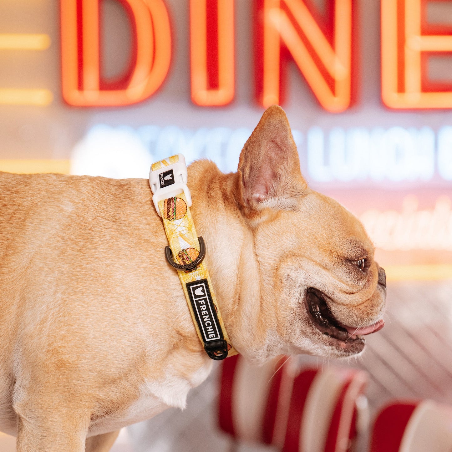 Frenchie Comfort Collar - Burger N Fries