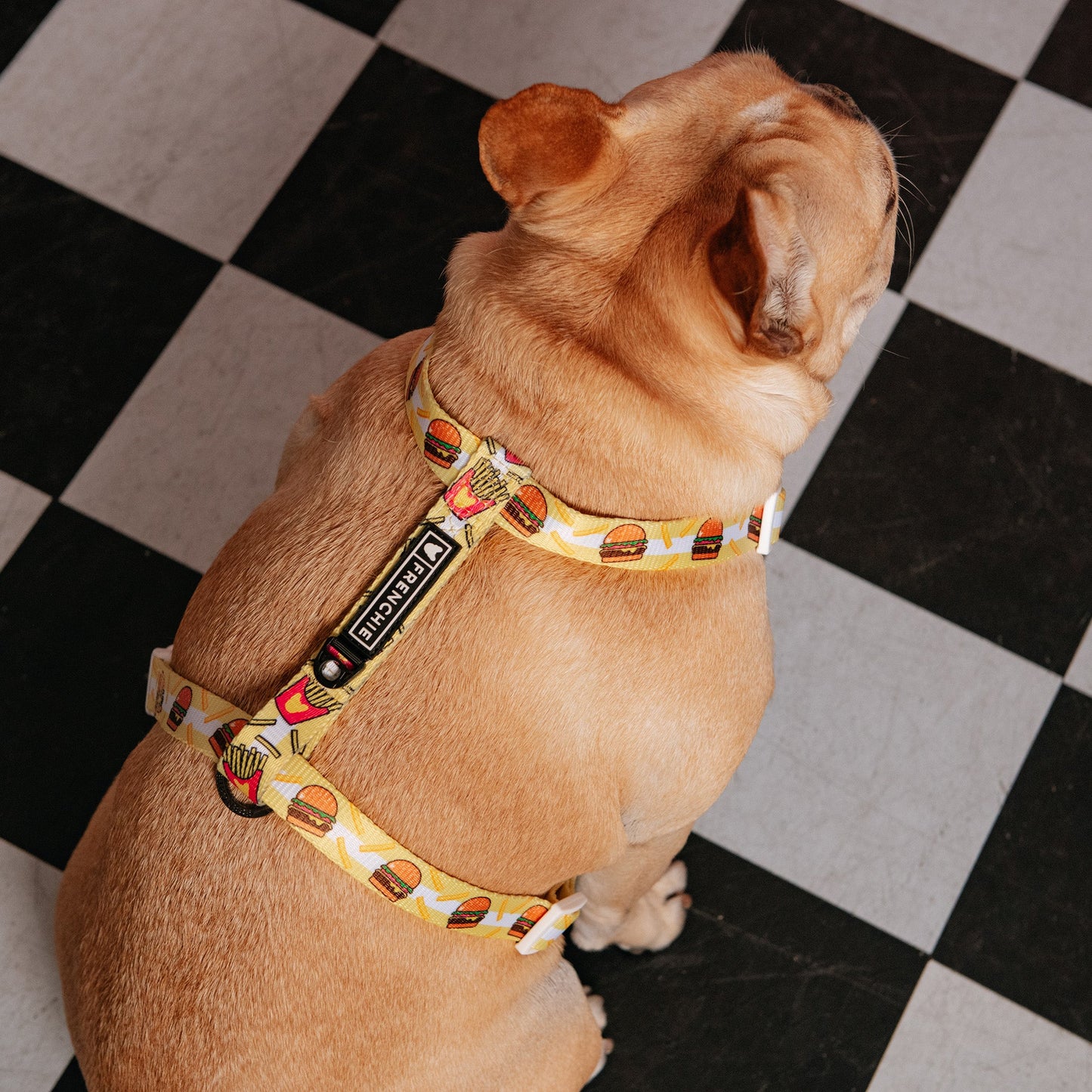 Frenchie Strap Harness - Burger N Fries