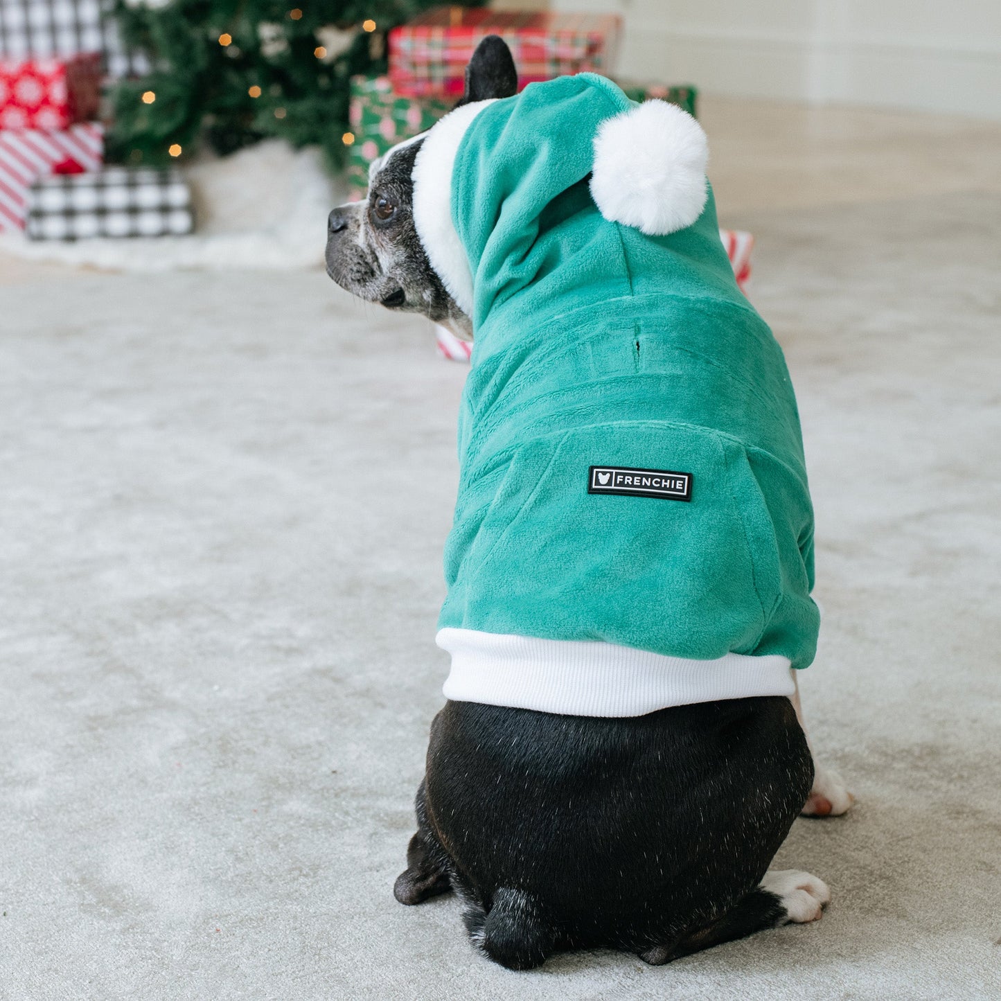 Frenchie Dog Hoodie - Elf