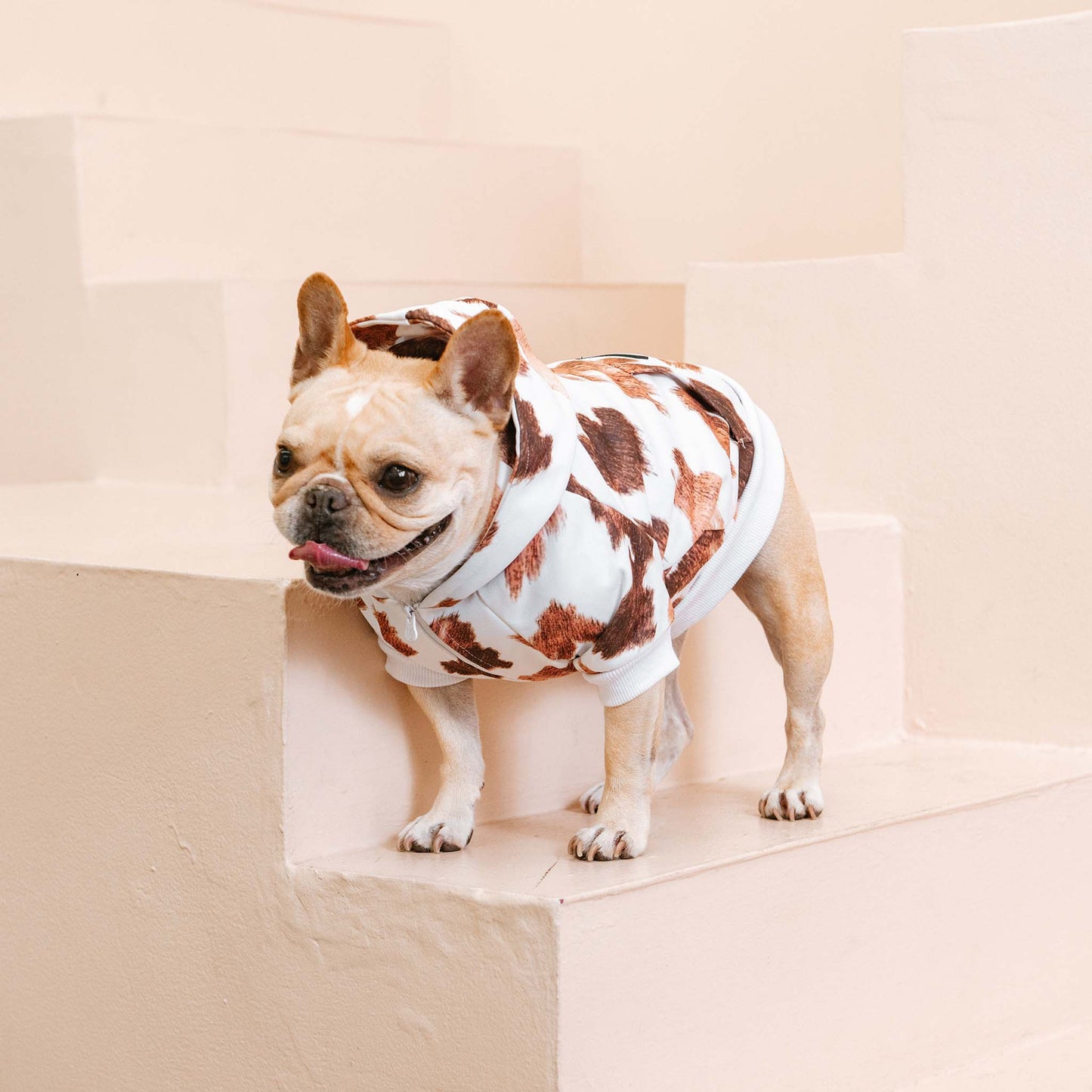 Frenchie Dog Hoodie - Moo