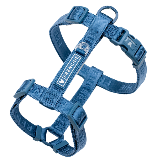 Frenchie Strap Harness - Blue Steel