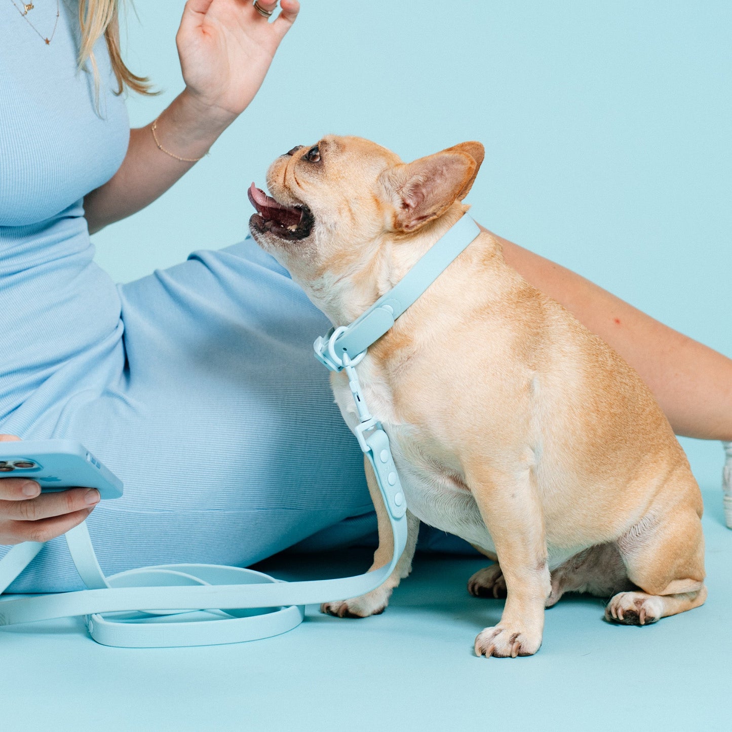 Frenchie Waterproof Collar - Ocean Blue