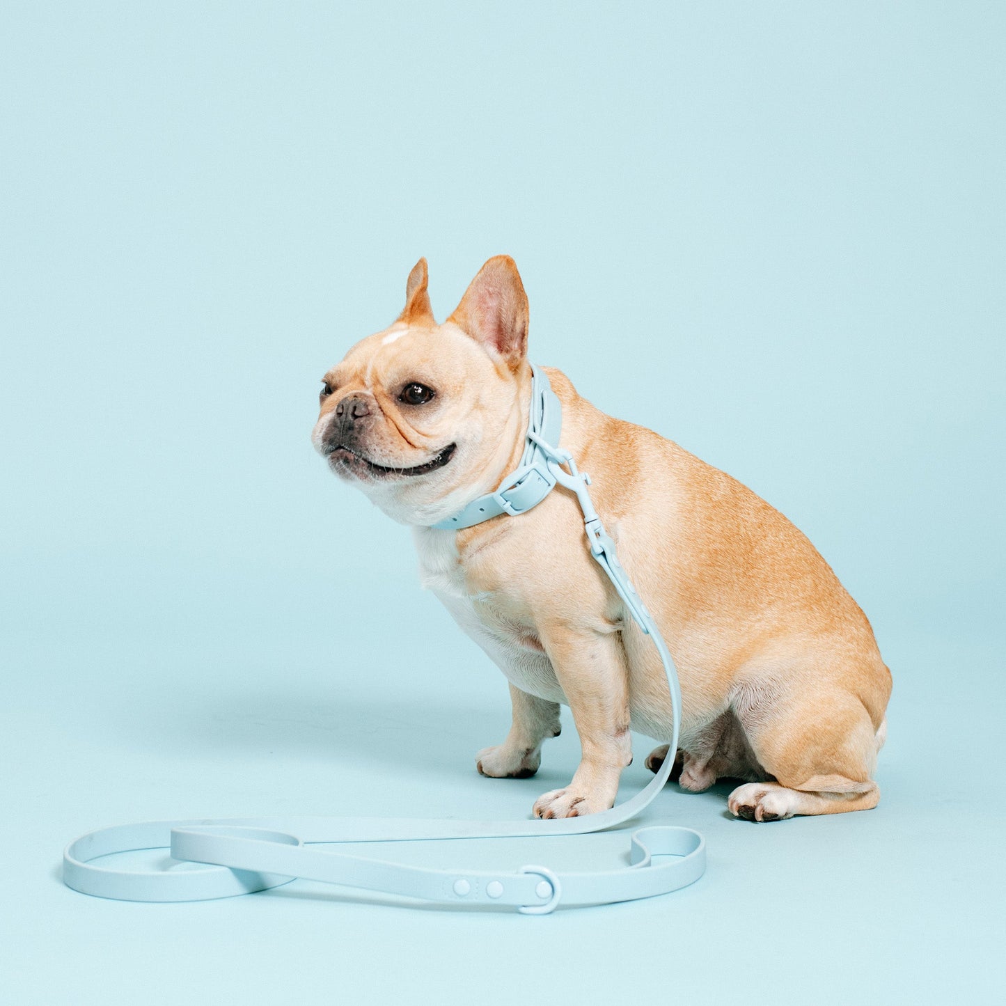 Frenchie Waterproof Leash - Ocean Blue