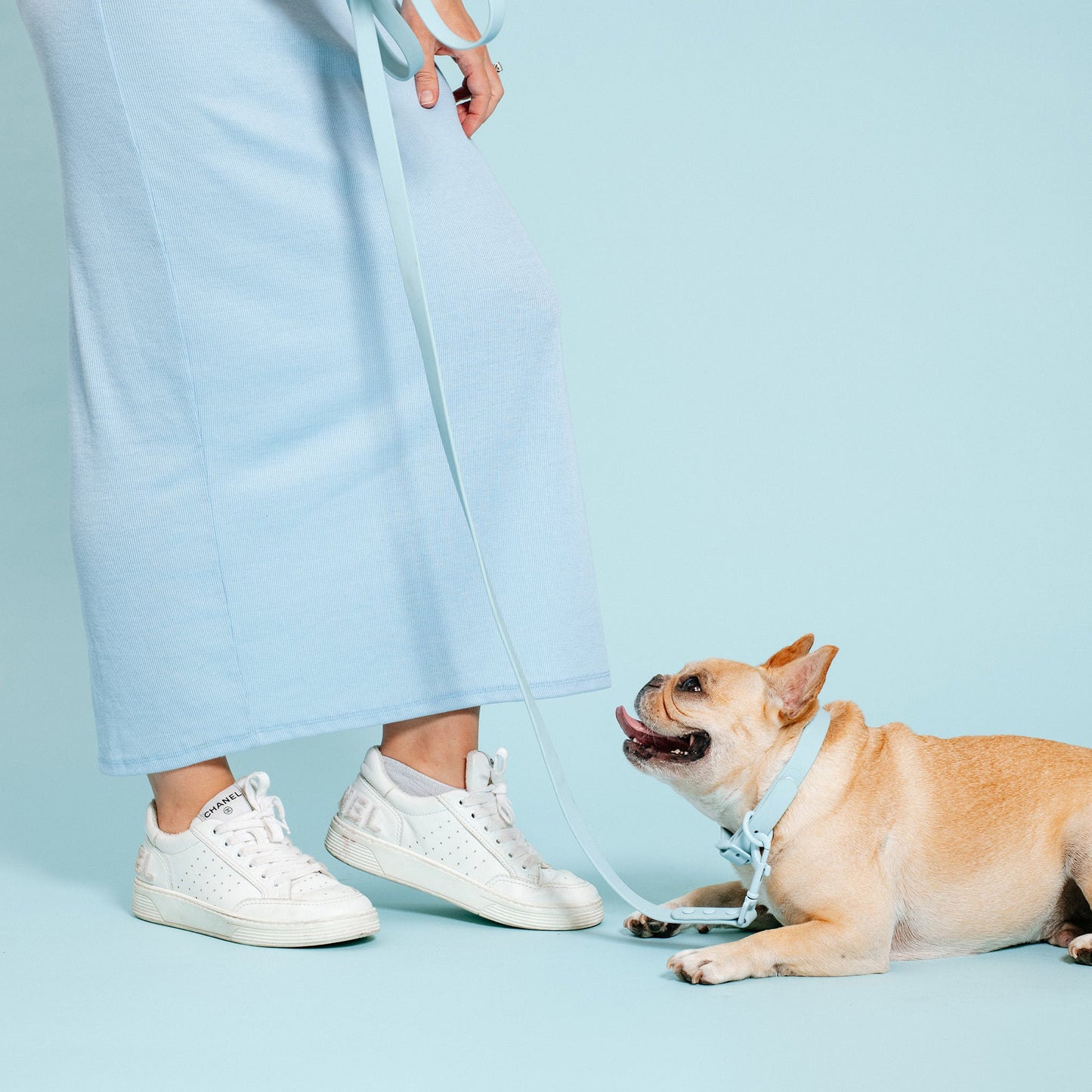 Frenchie Waterproof Leash - Ocean Blue